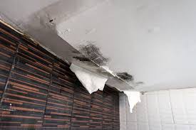 causes of ceiling damage a j property