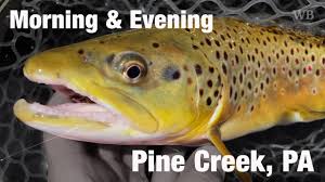 Diy Guide To Fly Fishing Pine Creek In North Central