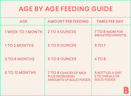 How Much Should A Newborn Eat Baby Feeding Chart Baby