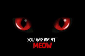 meow vector 3d realistic red cats eye