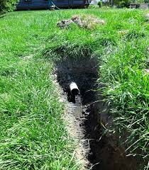Use the clamps to hold the pipe in place at the septic tank drain so it does not shift and misalign. Septic System Rescue Diy Fix For Hopeless Cases Diy Blog Mother Earth News