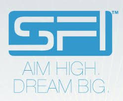 Can You Earn Extra Income Online with SFI?
