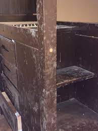 Mold On Furniture The Causes And