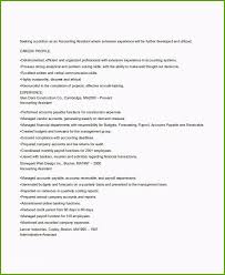 Resume Format For Experienced Accountant Doc Essential Ideas 21