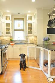 Diy Dog Crate Kennel Ideas Your Pup
