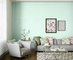 Soft Touch 7571 House Wall Painting