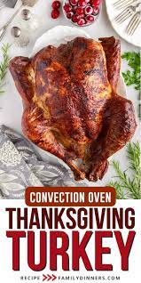 easy convection oven turkey recipe
