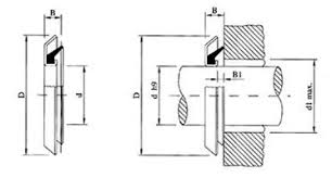 Gamma Seal of Best Ring Gamma Seals Manufacturer, Supplier