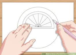 How To Draw A Pie Chart From Percentages 11 Steps With
