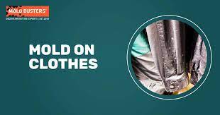 Mold On Clothes How To Remove Is It