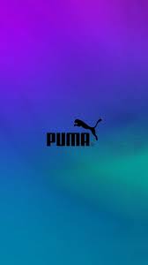 puma wallpapers 71 pictures