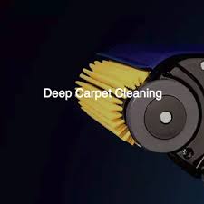 steam cleaning management services
