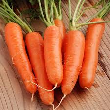 The 6 roots are perfect for snacking, with a juicy and nearly grainless texture and a crisp, sweet flavor that pairs well with your favorite savory veggie dip. Fancy Nantes Carrot Seeds Urban Farmer