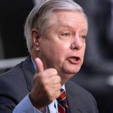 He previously served in the u.s. Lindsey Graham Democrats Should Be Ashamed Of Themselves For So Thoroughly Incriminating Trump Vanity Fair