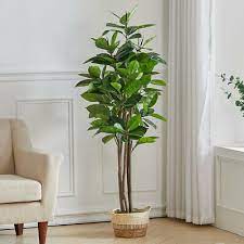 Large Artificial Rubber Tree Fake
