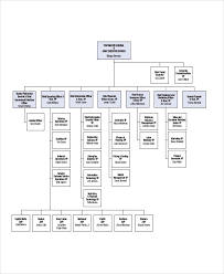 Free 17 Organizational Chart Examples Samples In Google