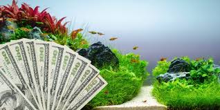 cost to create an aquascape aquarium