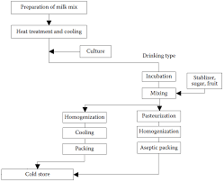 What Is The Processing Flow For Yoghurt Drinks