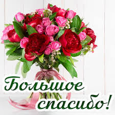 Открытки открытки картинки спасибос надписью спасибоблагодарюбольшое спасибо