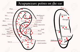 Reflex Zones On The Ear Acupuncture Points On The Ear Map Of
