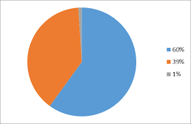 Pie Chart Showing The Expenditure Formula For Universities
