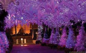 Have A Magical Purple Christmas ...