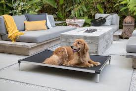 The 9 Best Dog Beds Of 2023 Hiconsumption