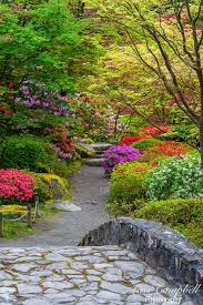 Buy Stone Bridge Garden Path Japanese