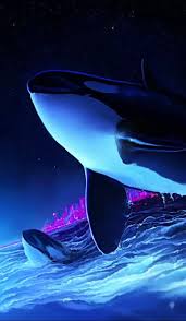 orca desktophut live wallpapers and