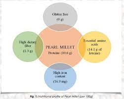 pearl millet a brief overview on its