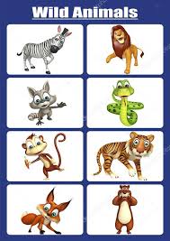 Animal Stock Pictures Royalty Free Wild Animal Chart