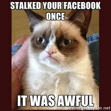 Grumpy Cat No Meme Facebook - grumpy cat no meme facebook due to ... via Relatably.com