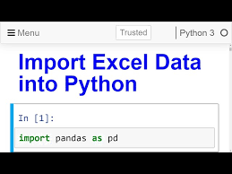 import excel data file into python