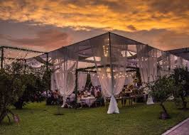 Choose a forest as your outdoor wedding venue. Outdoor Wedding Venues In Dubai Zafaf Net