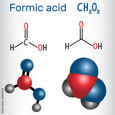 formic acid methanoic molecule