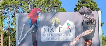 maleny botanical gardens bird world