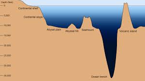 ocean floor features you should know