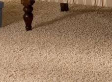 heaven s best carpet cleaning