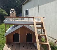 60 Best Dog House Ideas And Designs In
