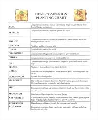Herbs Companion Planting Goldworth Info