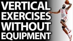 home vertical jump exercises without