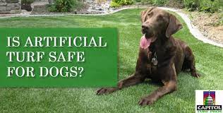 is artificial gr safe for dogs