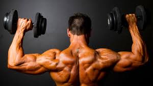 the best bodybuilding shoulder workout