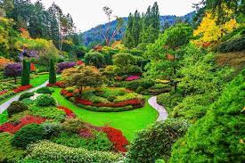 visiting butchart gardens in victoria bc