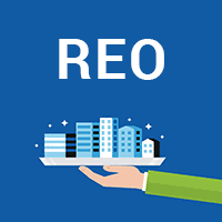 pros and cons of ing reo properties