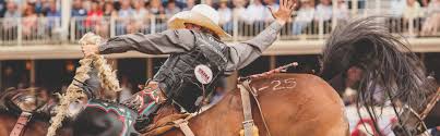 Everything You Need To Know About The Calgary Stampede