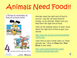 People often call domestic animals 'pets'. Animals Ppt Video Online Download
