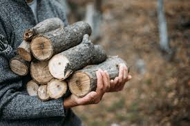 Firewood Carrier The Best Ways To