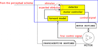 the model of a motor schema