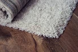 area rugs cleaning best in